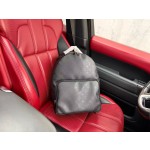 ¥530 【LV】⭐ W923⭐64⭐