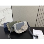 ¥565【Dior】 ⭐900y⭐pP0⭐ ming 尺寸：18 x 24CM ming